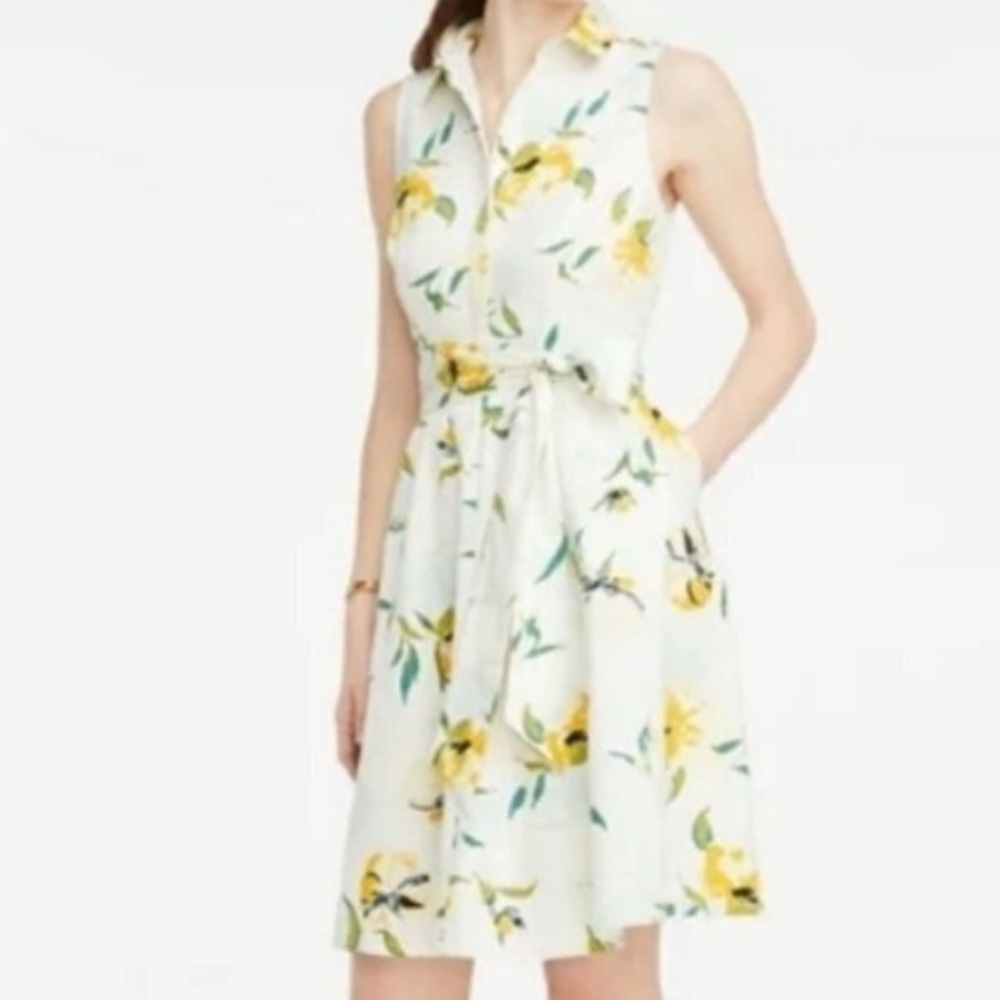 Ann Taylor Floral Sleeveless Dress
